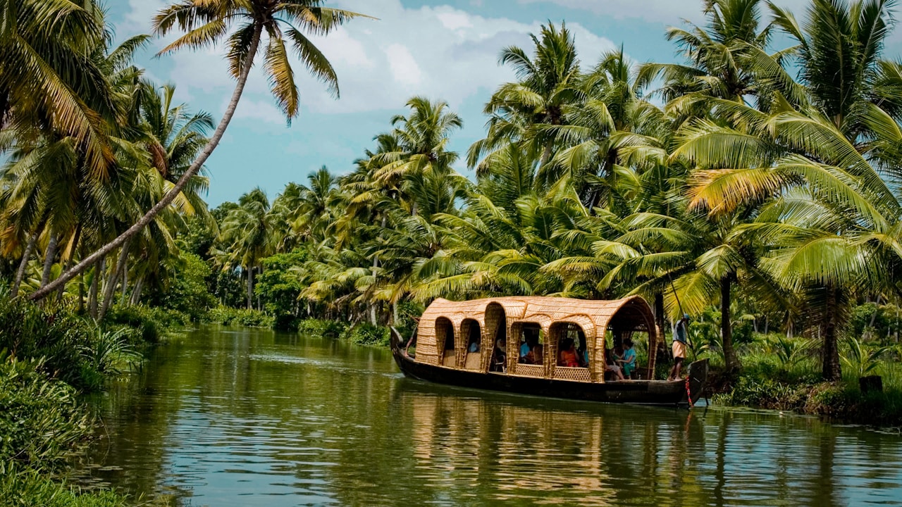 Kerala — river & coconut palms