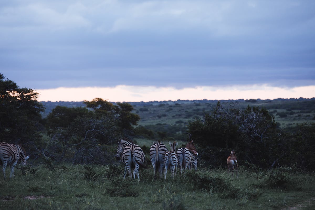 GIC Kenya